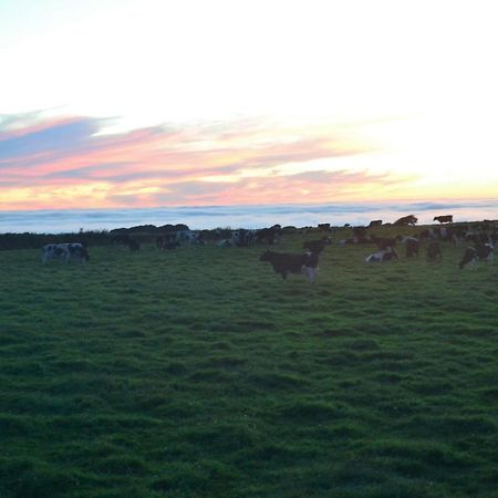 Family Run Farm B&B Gooseham Экстерьер фото
