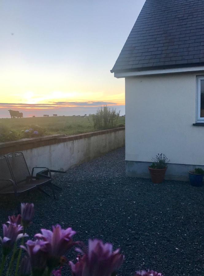 Family Run Farm B&B Gooseham Экстерьер фото